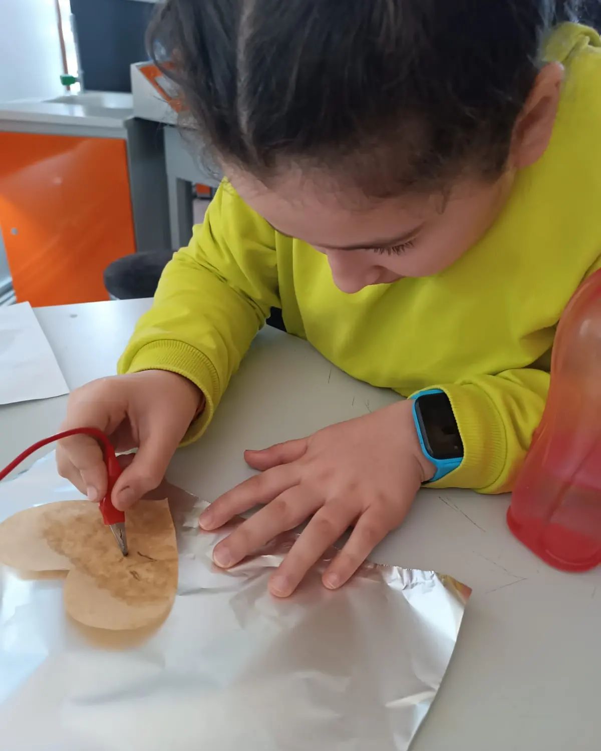 Payas STEM galeri fotoğrafı