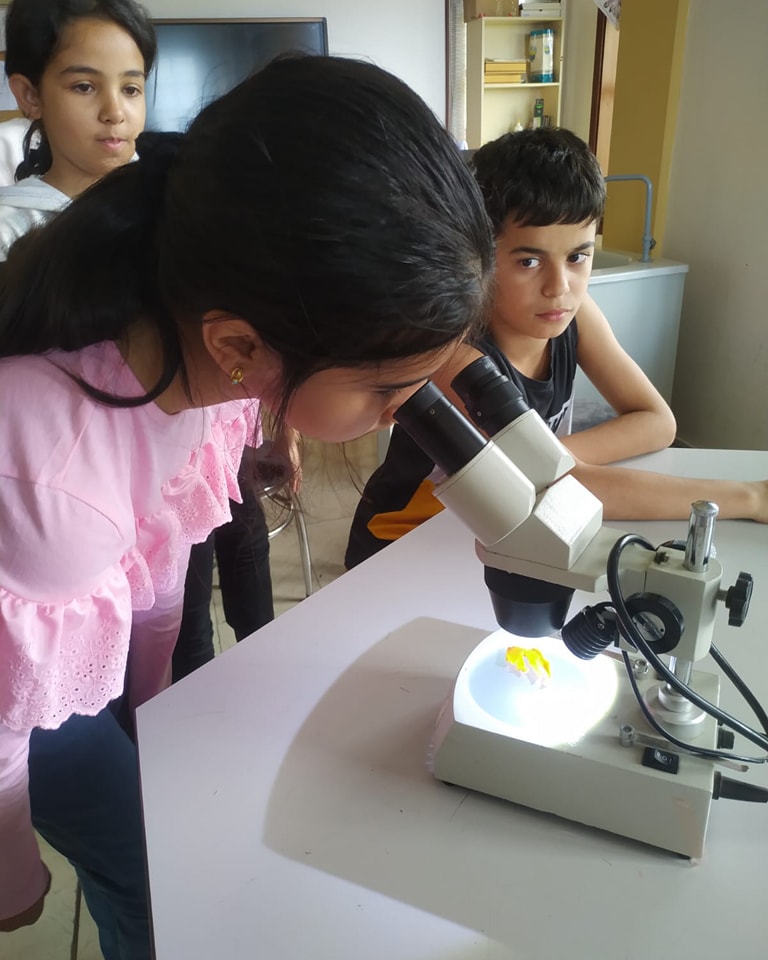 Payas STEM galeri fotoğrafı