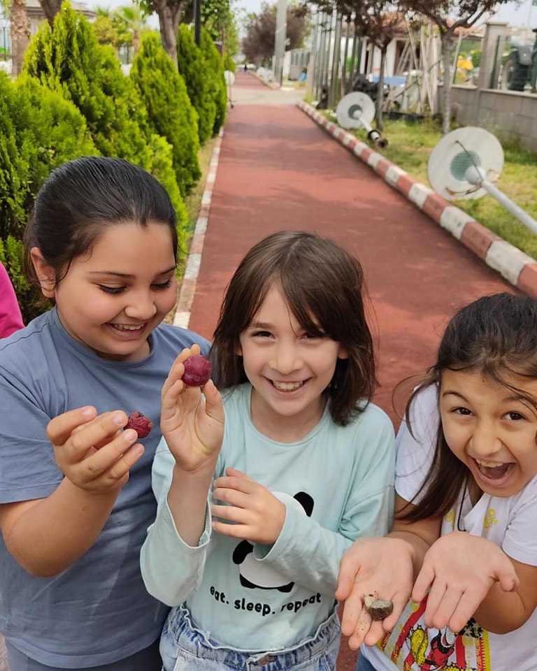 Payas STEM galeri fotoğrafı